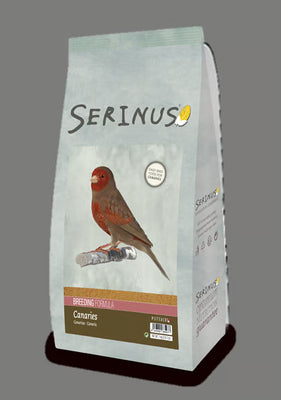 Serinus Canaries Breeding