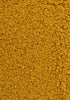 Serinus Canaries Maintenance