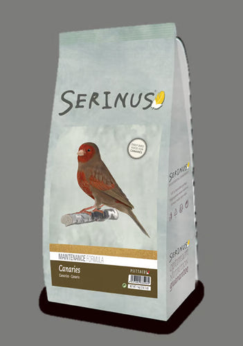 Serinus Canaries Maintenance