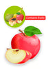 Psittacus Fruit Gel