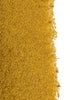 Serinus Maintenance Formula