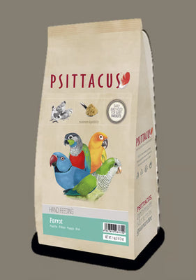 Psittacus Parrot Hand Feeding