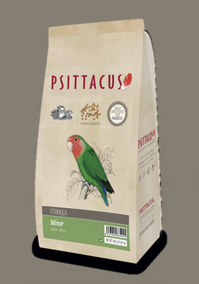 Psittacus Mineur