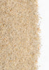 Psittacus Silex Grit Fine
