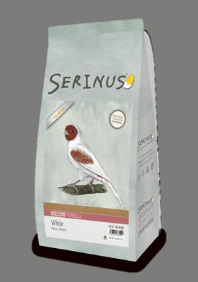 Serinus White Breeding