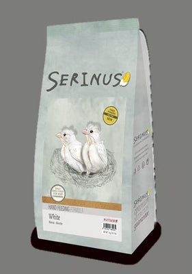 Serinus White Hand Feeding