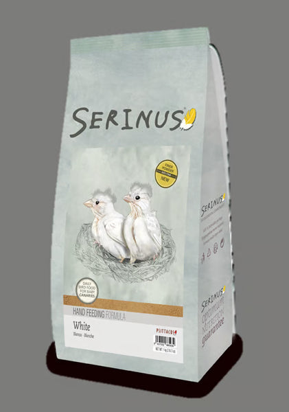 Serinus White Hand Feeding