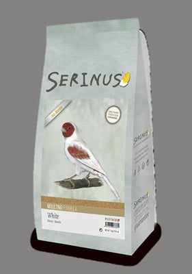 Serinus White Moulting