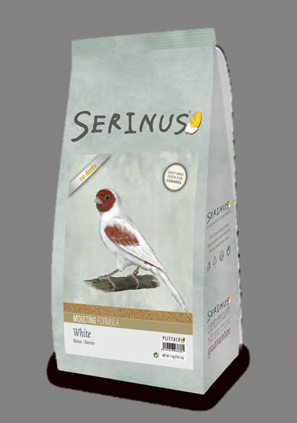 Serinus White Moulting