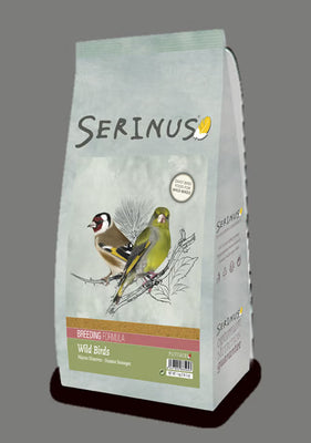 Serinus Wild Birds Breeding