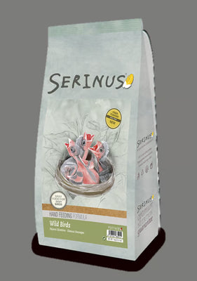 Serinus Wild Birds Hand Feeding