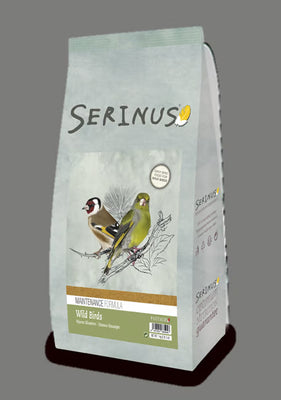 Serinus Wild Birds Maintenance