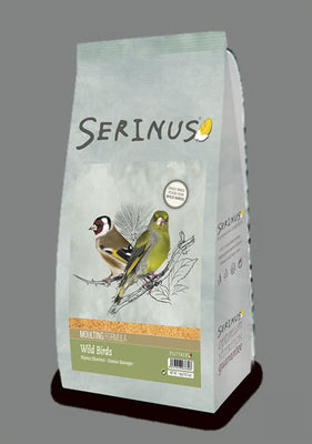Serinus Wild Birds Moulting