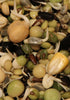Psittacus Sprout Helper